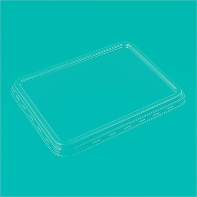 Крышка для лотков 260*177  РР ПРОЗРАЧНАЯ (320шт) 2042