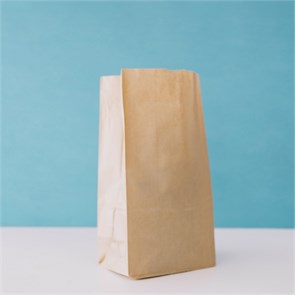 {{photo.Alt || photo.Description || 'Пакет с прямоугольным дном 180*120*290  крафт'}}