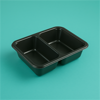 {{photo.Alt || photo.Description || 'Лоток под запайку 164*132*45, 2 СЕКЦИИ, РР ЧЕРНЫЙ (400шт)'}}